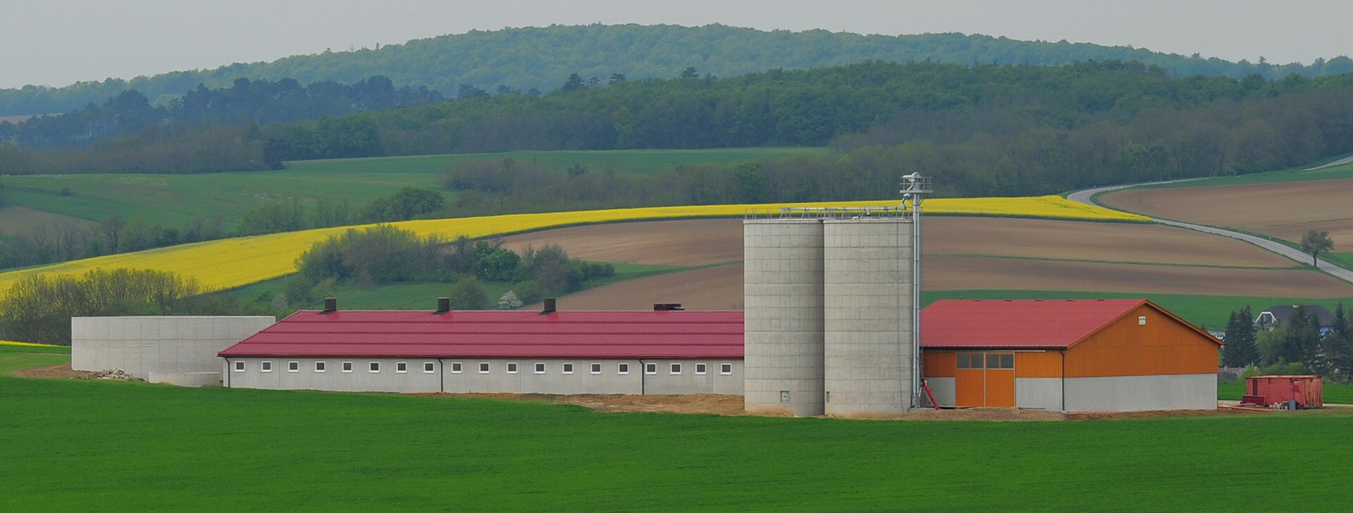 Staje za svinje - Poljoprivredne zgrade - WOLF System