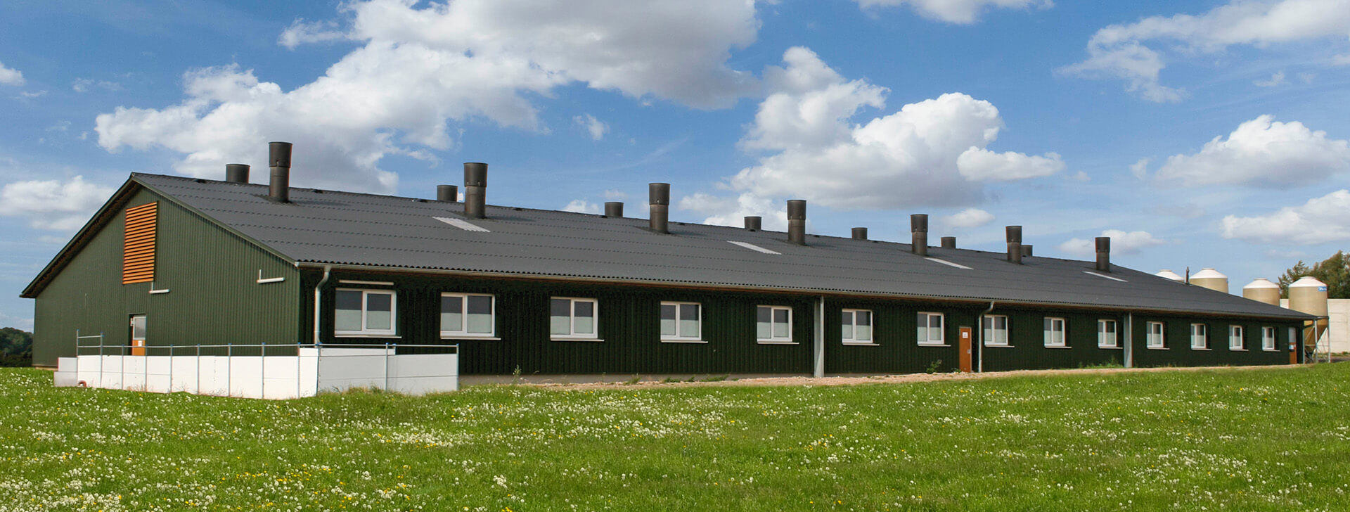 Staje za svinje - Poljoprivredne zgrade - WOLF System