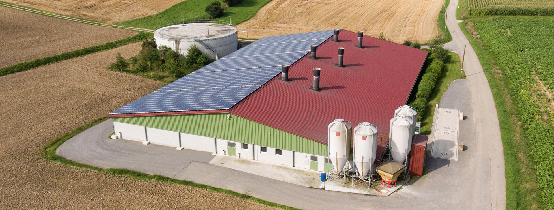 Staje za svinje - Poljoprivredne zgrade - WOLF System