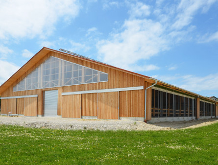 135445-Milchviehstall